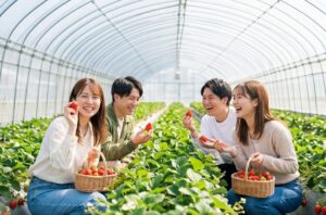 2026年GW、若者は“遠出”より“手軽さ”重視？ TimeTree予定データから見えたレジャーの変化